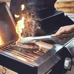 Burnhard Gas BBQ FRED JR. Deluxe - 2 Branders - Incl. Keramische Infraroodbrander & Afdekhoes - Deluxe -Keukengrill 1200x1200 14