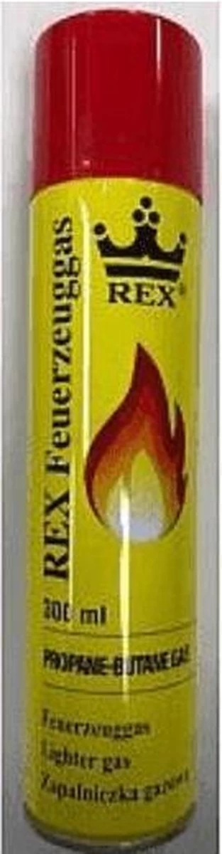 Hofftech Universeel Aanstekergas Propaan - Butaan Gas - 300 Ml 11 Hofftech Universeel Aanstekergas Propaan - Butaan Gas - 300 Ml - Afbeelding 11